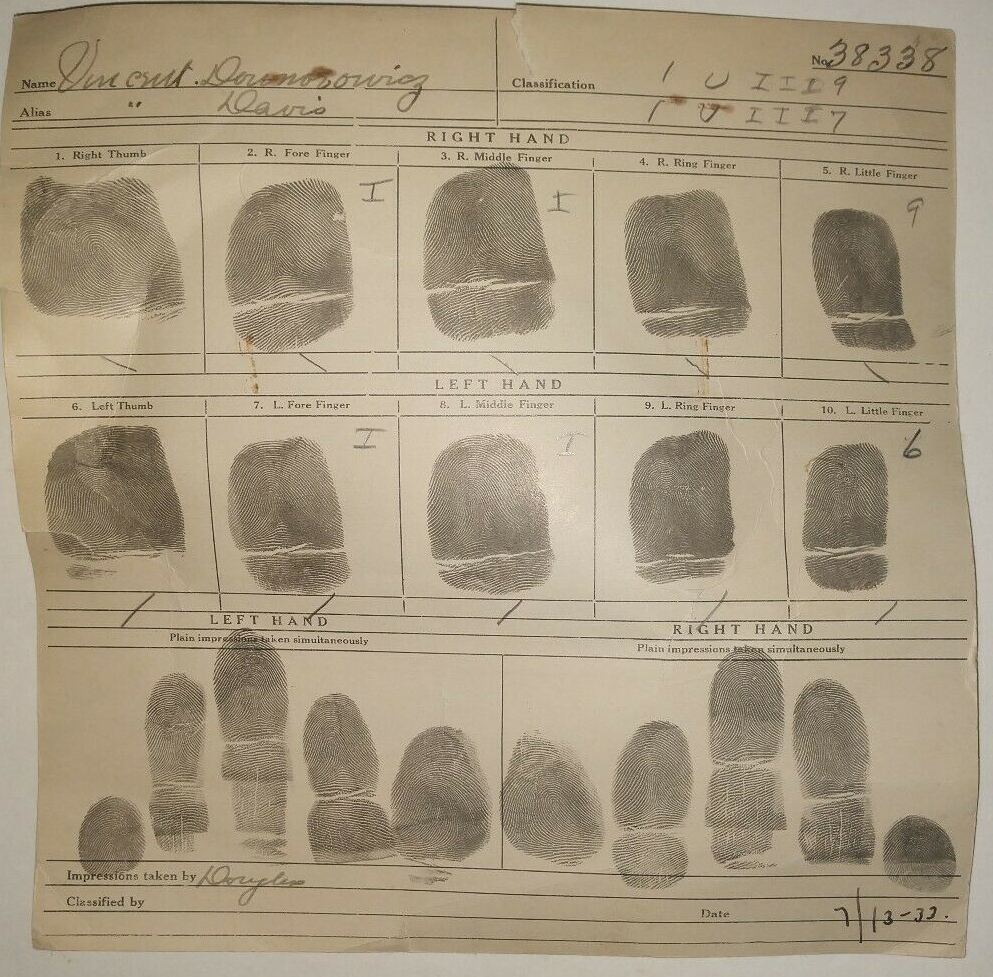 EVER EVER EVER Motto Divder